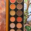 SHEGLAM Stay Juicy, La Palette 12-Colores Paleta De Sombras De Ojos Mate MetáLica Con Brillo Naranja Rojo