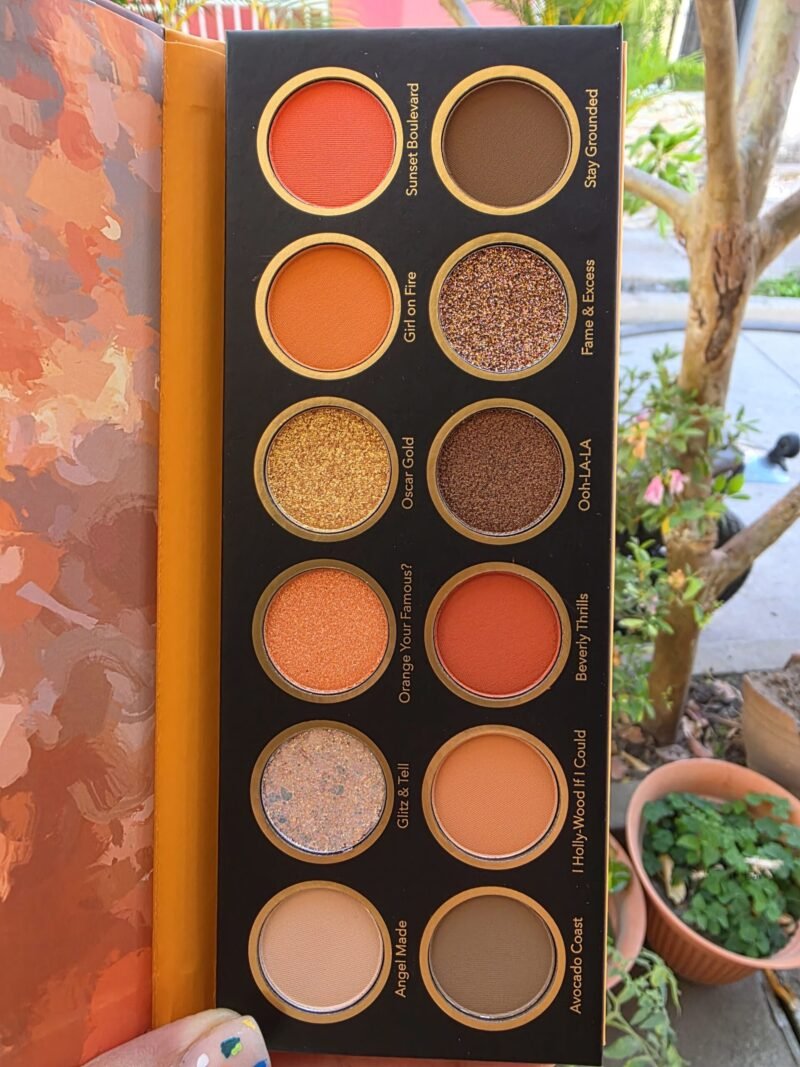 SHEGLAM Stay Juicy, La Palette 12-Colores Paleta De Sombras De Ojos Mate MetáLica Con Brillo Naranja Rojo