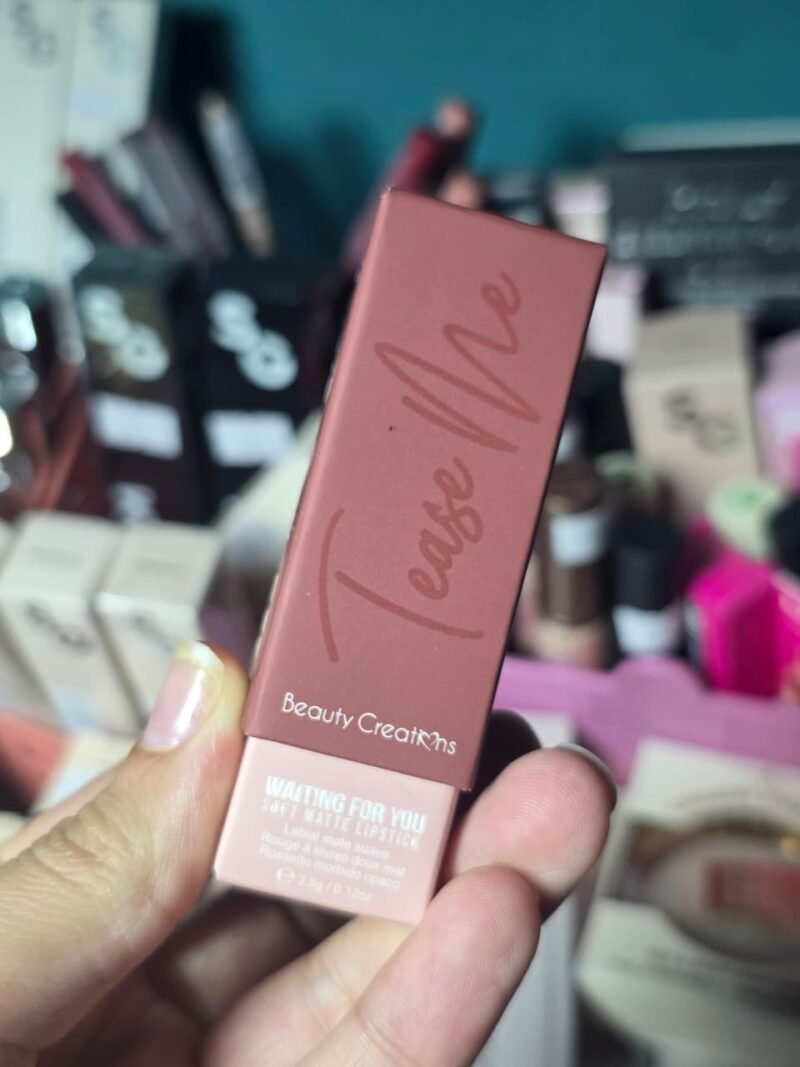 WhatsApp Image 2026-02-21 at 11.51.24 AM (1) Labial Beauty Creations - Tease me Waiting for you