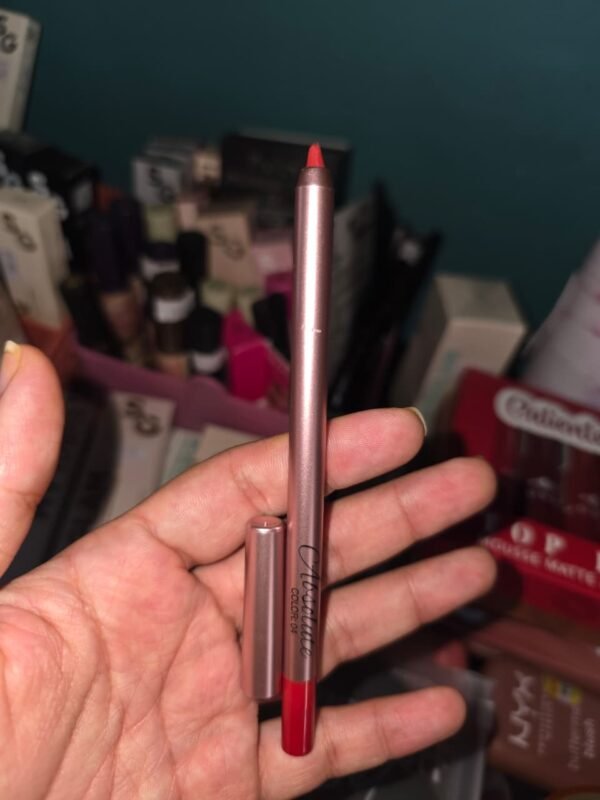 WhatsApp Image 2026-02-21 at 12.07.20 PM Simple Bella Absolute Lip Liner tono 04